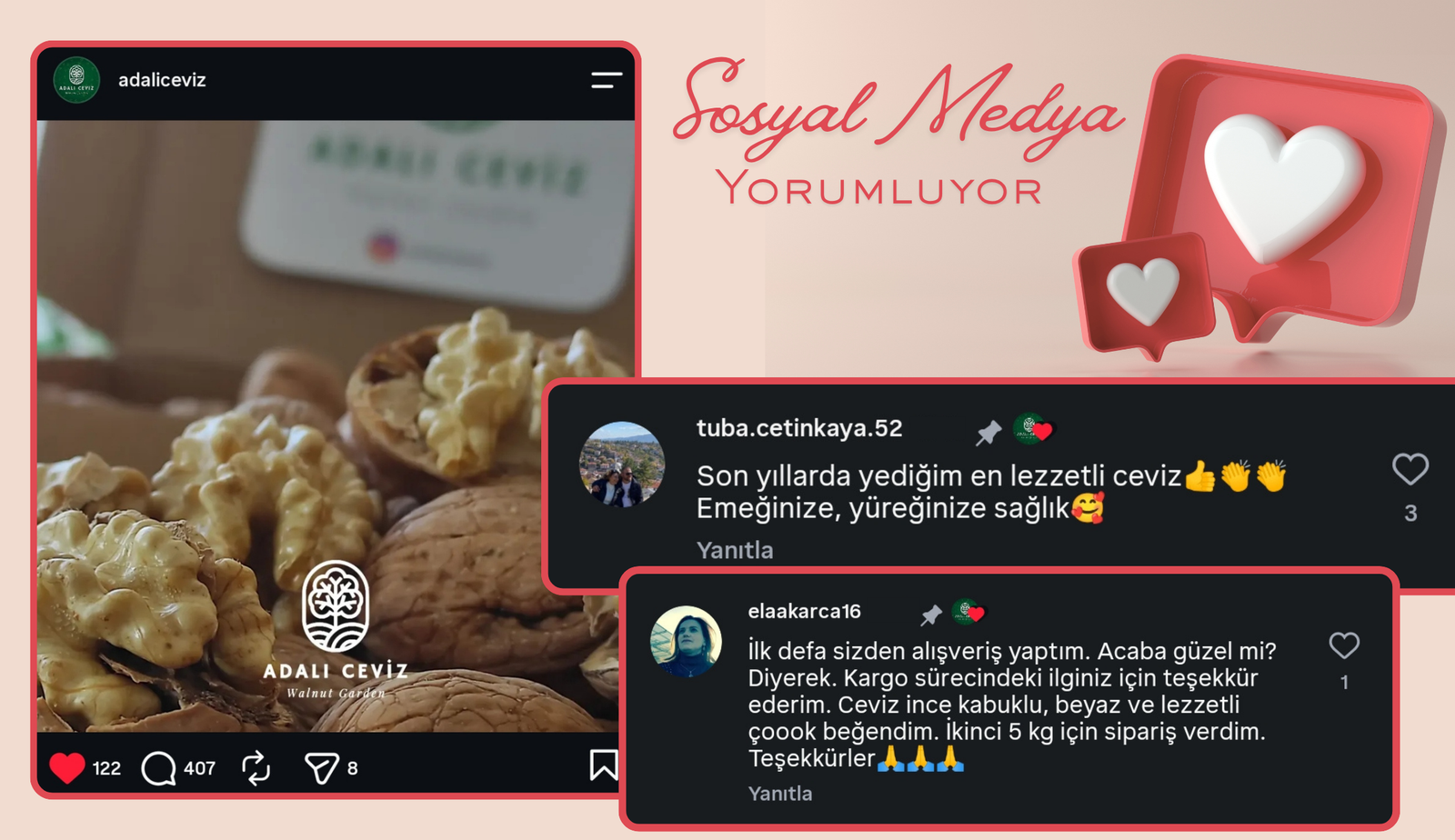 Adalı Ceviz | Türkiye'nin Cevizi yorm