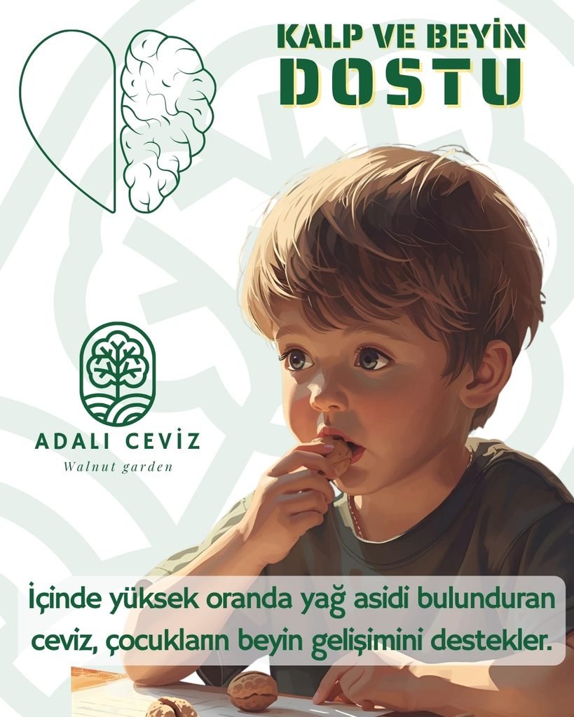 Ceviz yemek sağlıktır